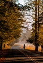 Wildlife photographer walks down forest road carrying huge camera and lens