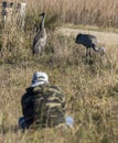 Wildlife photographers at Orlando Wetlands Royalty Free Stock Photo