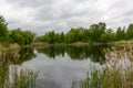 Wildlife pond,natural landscape