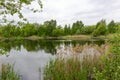 Wildlife pond,natural landscape