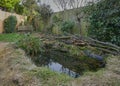 Wildlife pond in a suburban garden Royalty Free Stock Photo