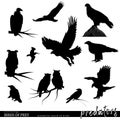 Wildlife. Predator birds set. Owls, eagles, kites birds silhouettes. Royalty Free Stock Photo