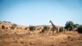 Wildlife preserve in Gauteng