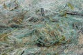 Wildlife protection, abandoned fishing net is dangerous for fish and other animals that can get into