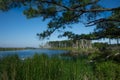 Blackwater National Wildlife Refuge