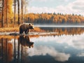Ai Generated illustration Wildlife Concept of Wildlife scene from Finland near Russia bolder. Autumn forest with bear