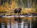 Ai Generated illustration Wildlife Concept of Wildlife scene from Finland near Russia bolder. Autumn forest with bear