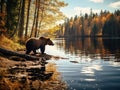 Ai Generated illustration Wildlife Concept of Wildlife scene from Finland near Russia bolder. Autumn forest with bear