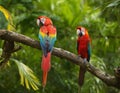 Wildlife scene from tropical forest. Beautiful parrot on tree green tree in nature, Generative AI Royalty Free Stock Photo