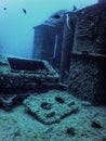 Wildlife at the ship wreck, Underwater world