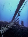 Wildlife at the ship wreck, Underwater world