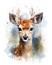 Wildlife sika deer, watercolor