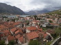 Wildlife on stones of orthodox church Island Gospa od Skrpjela Perast Boka Kotorska Montenegro Royalty Free Stock Photo