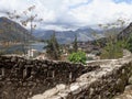 Wildlife on stones of orthodox church Island Gospa od Skrpjela Perast Boka Kotorska Montenegro Royalty Free Stock Photo