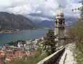 Wildlife on stones of orthodox church Island Gospa od Skrpjela Perast Boka Kotorska Montenegro Royalty Free Stock Photo