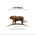 Wildlife - Tiger with name lettering