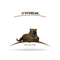 Wildlife - Tiger with name lettering