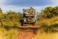 Wildlife Tourism Vehicle Bush