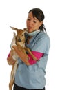 Wildlife veterinary care Royalty Free Stock Photo
