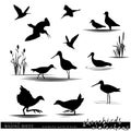 Wildlife. Wading birds set. Shorebirds anh waterhen birds silhouettes.