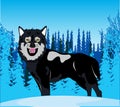 Wildlife wolf on background snow winter wood