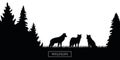 Wildlife wolfs pack silhouette in the forest on the meadow black and white