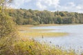 The wildly vegetated coast at the MÃÂ¼ritz, Germany