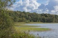 The wildly vegetated coast at the MÃÂ¼ritz, Germany