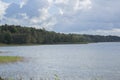 The wildly vegetated coast at the MÃÂ¼ritz, Germany