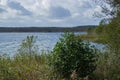 The wildly vegetated coast at the MÃÂ¼ritz, Germany