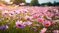 wilds pink flower garden Royalty Free Stock Photo