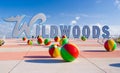 Wildwood Royalty Free Stock Photo
