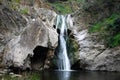 Wildwood Waterfall