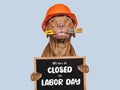 We will be closed on Labor Day. Royalty Free Stock Photo