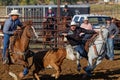 Will he catch the bull ? A Steer wrestling competition