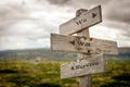 We will survive text engraved on old wooden signpost outdoors in nature