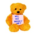 Will you marry me teddy Royalty Free Stock Photo