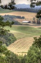 Willamette Valley landscape, Oregon Royalty Free Stock Photo