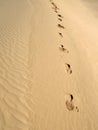 Willandra Lakes National Park, UNESCO, Australia Royalty Free Stock Photo