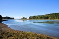 Willapa National Wildlife Refuge Estuary