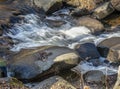willard brook in motion Royalty Free Stock Photo