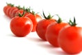 Willful tomato Royalty Free Stock Photo