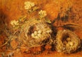 William Henry Hunt, Chaffinch Nest and May Blossom