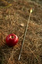 William tell metaphor with red apple and arrow