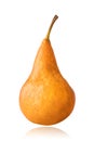 Williams or Bartlett pear isolated on white background Royalty Free Stock Photo