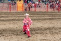 Rodeo clown performs for crowd at stampede