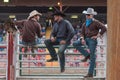 Three cowboys sit on chutes and watch stampede