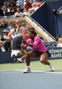 Williams Serena at US Open 2009 (158) Royalty Free Stock Photo