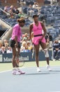 Williams sisters at US Open 2009 (1)