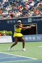 Williams Venus at Rogers Cup 2009 (15)